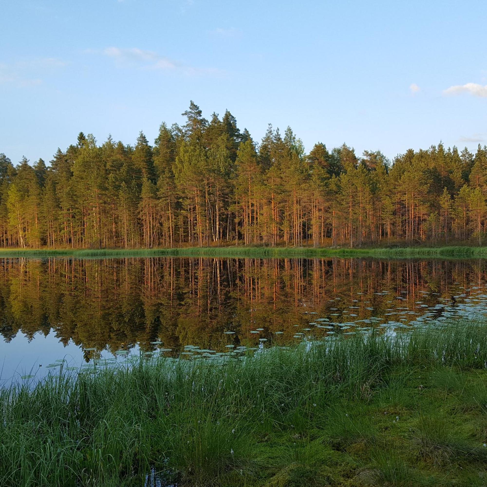 Villa Vuorenpaeae Tammela Kültér fotó