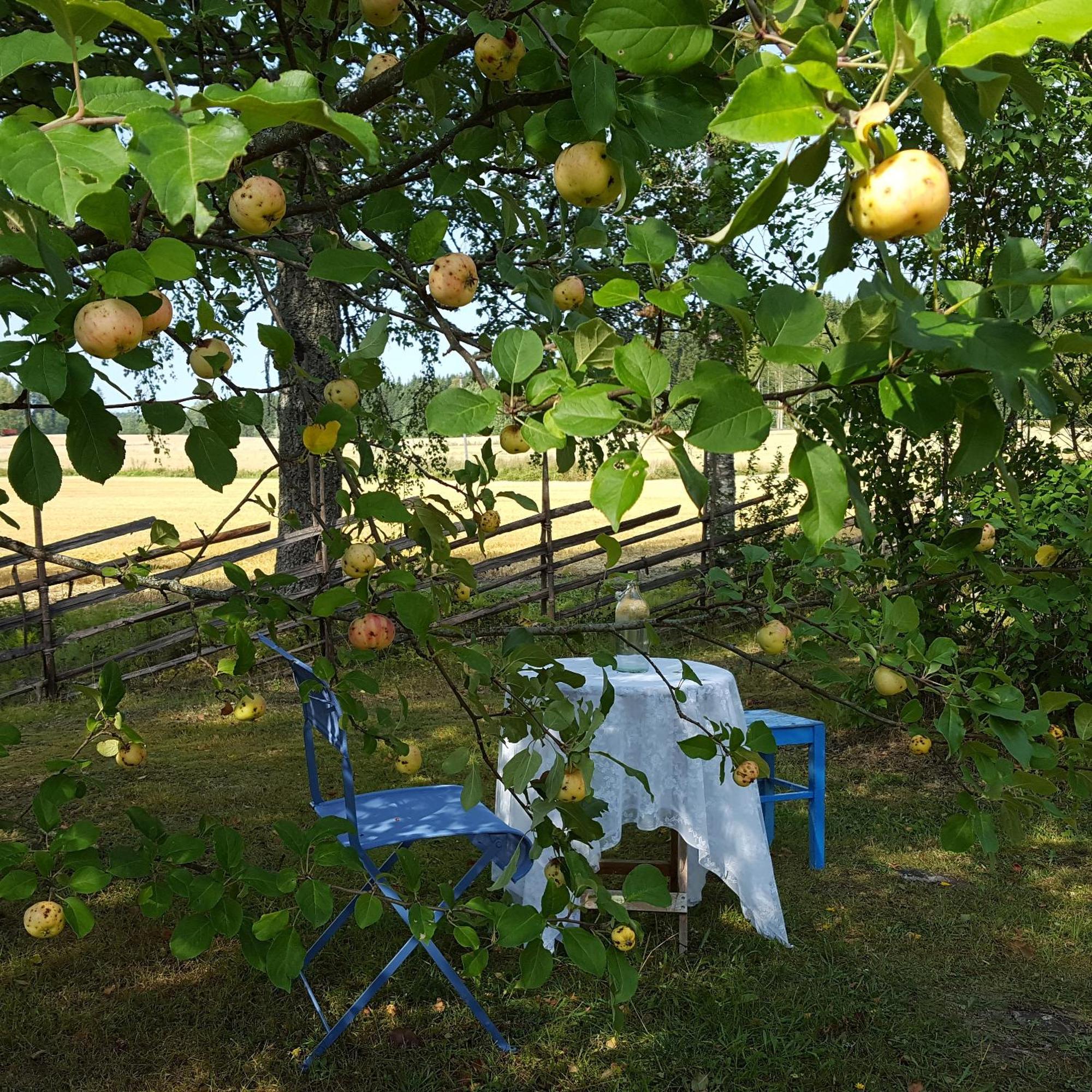 Villa Vuorenpaeae Tammela Kültér fotó