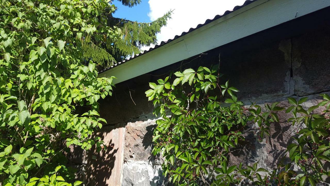 Villa Vuorenpaeae Tammela Kültér fotó
