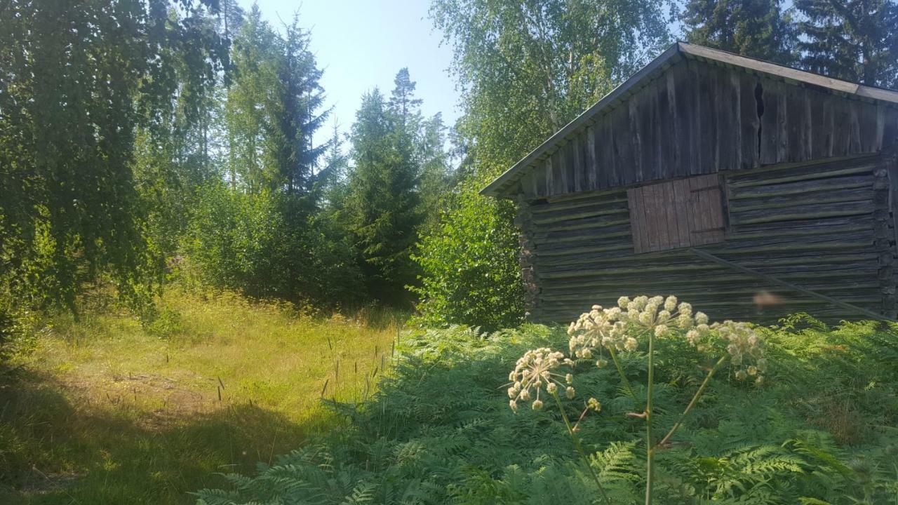 Villa Vuorenpaeae Tammela Kültér fotó